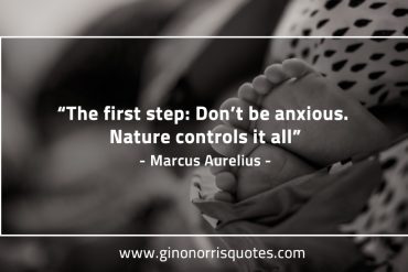 The first step MarcusAureliusQuotes