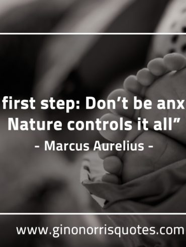 The first step MarcusAureliusQuotes