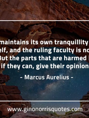 The mind maintains its own tranquillity MarcusAureliusQuotes