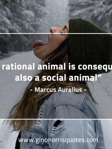 The rational animal is consequently MarcusAureliusQuotes