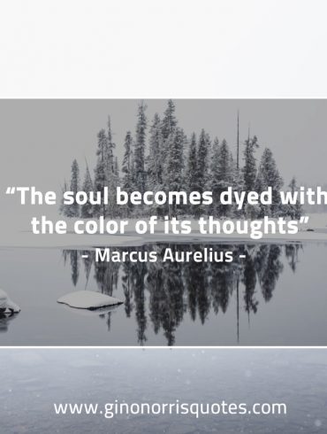 The soul becomes dyed MarcusAureliusQuotes