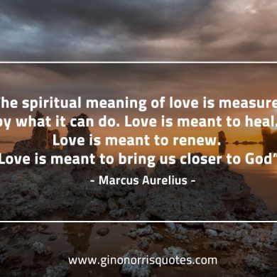 The spiritual meaning of love MarcusAureliusQuotes