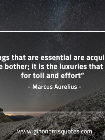 The things that are essential MarcusAureliusQuotes