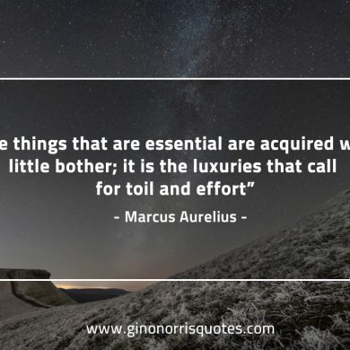 The things that are essential MarcusAureliusQuotes