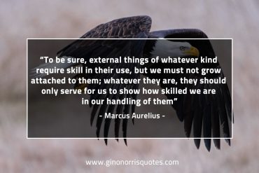 To be sure external things of whatever kind MarcusAureliusQuotes