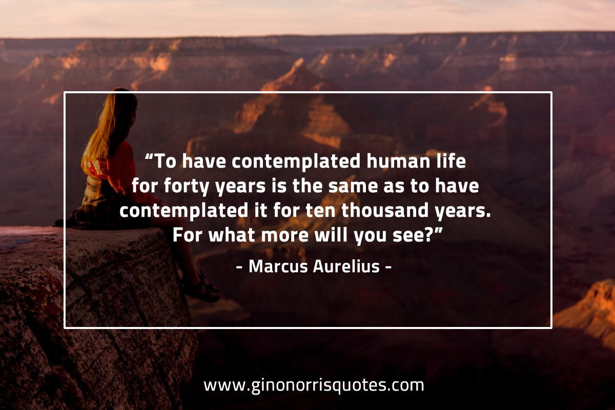 To have contemplated human life MarcusAureliusQuotes