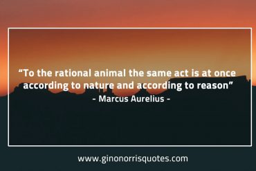 To the rational animal MarcusAureliusQuotes