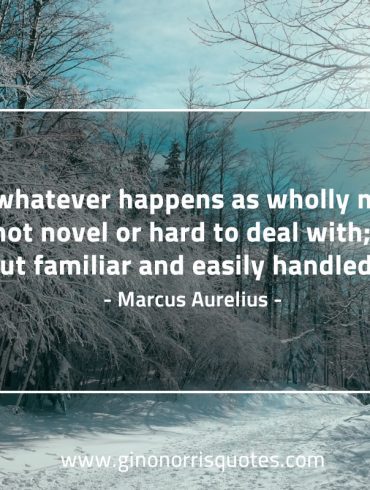 Treat whatever happens MarcusAureliusQuotes