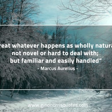 Treat whatever happens MarcusAureliusQuotes