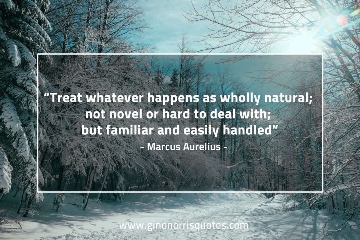 Treat whatever happens MarcusAureliusQuotes