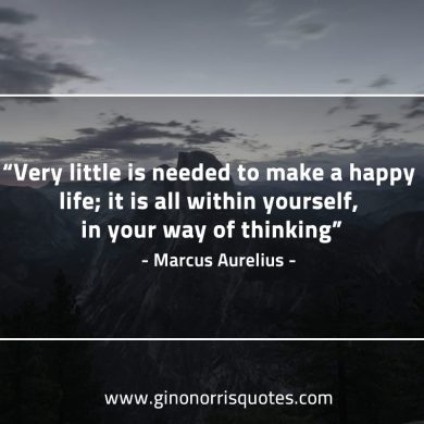 Very little is needed MarcusAureliusQuotes