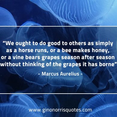 We ought to do good to others MarcusAureliusQuotes