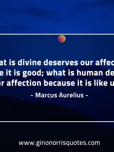 What is divine deserves our affection MarcusAureliusQuotes