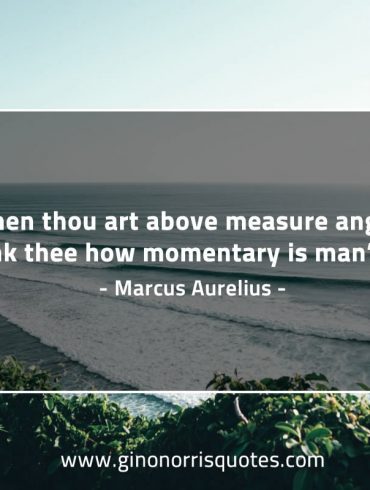 When thou art above measure angry MarcusAureliusQuotes