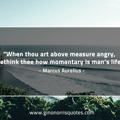 When thou art above measure angry MarcusAureliusQuotes