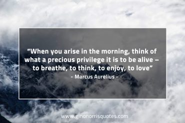 When you arise in the morning MarcusAureliusQuotes