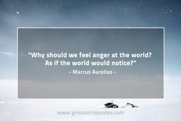 Why should we feel anger at the world MarcusAureliusQuotes