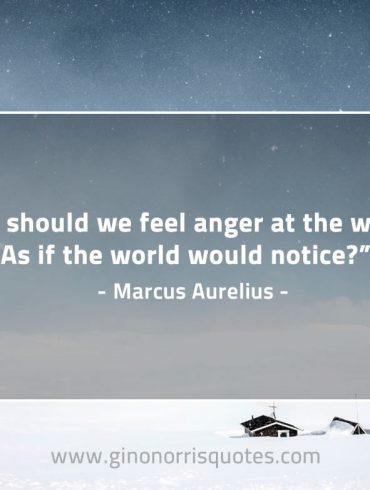 Why should we feel anger at the world MarcusAureliusQuotes