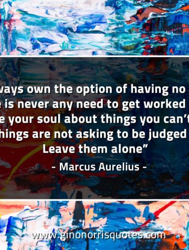 You always own the option of having no opinion MarcusAureliusQuotes