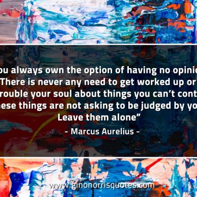 You always own the option of having no opinion MarcusAureliusQuotes