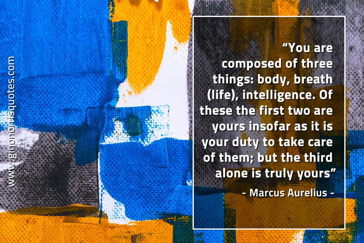 You are composed of three things MarcusAureliusQuotes