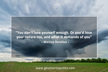 You don’t love yourself enough MarcusAureliusQuotes