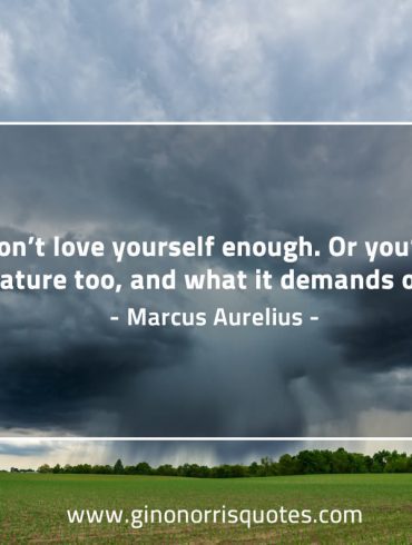 You don’t love yourself enough MarcusAureliusQuotes