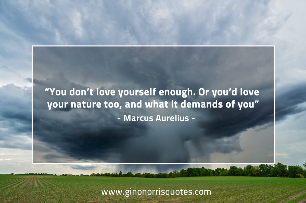 You don’t love yourself enough MarcusAureliusQuotes