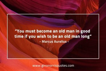 You must become an old man MarcusAureliusQuotes