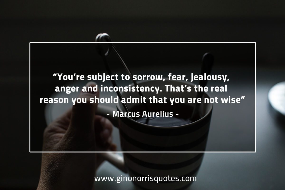 You’re subject to sorrow MarcusAureliusQuotes